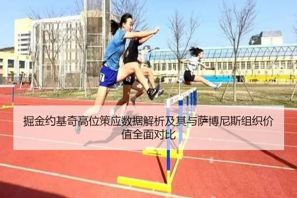 掘金约基奇高位策应数据解析及其与萨博尼斯组织价值全面对比